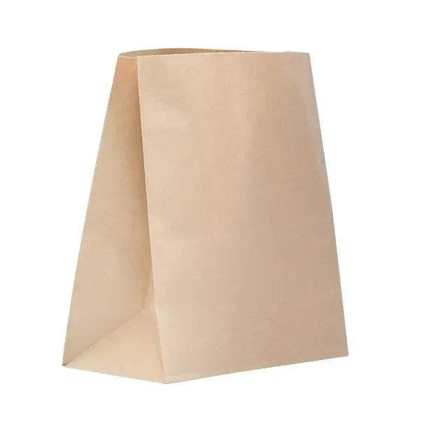 Regular Paper Checkout Bag