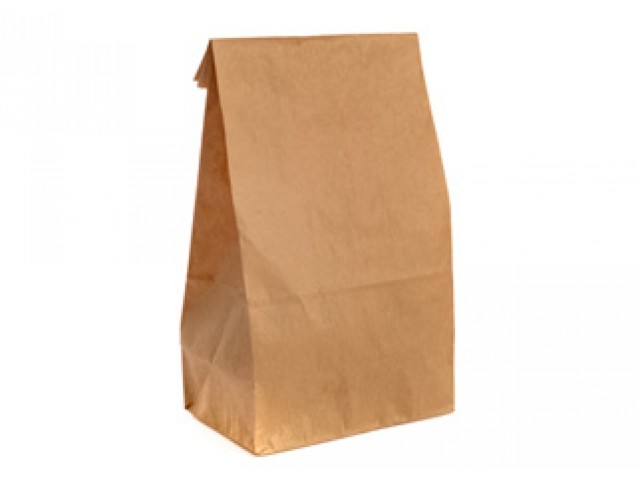 Large Paper Checkout Bag