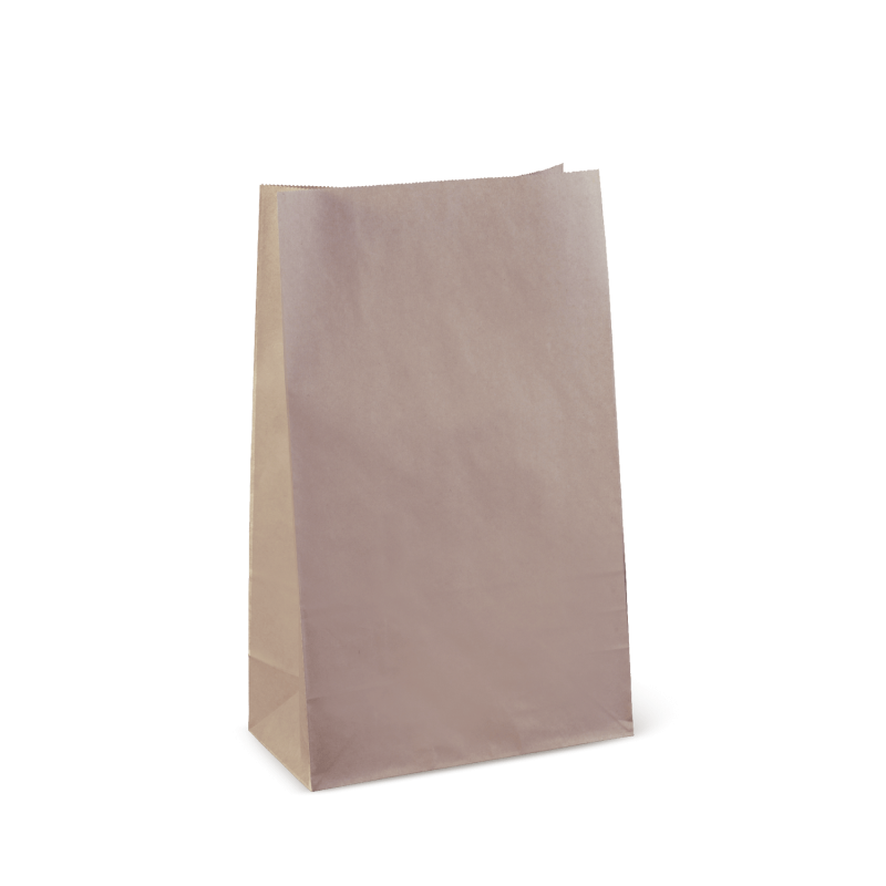 Paper Carry Bag # 16